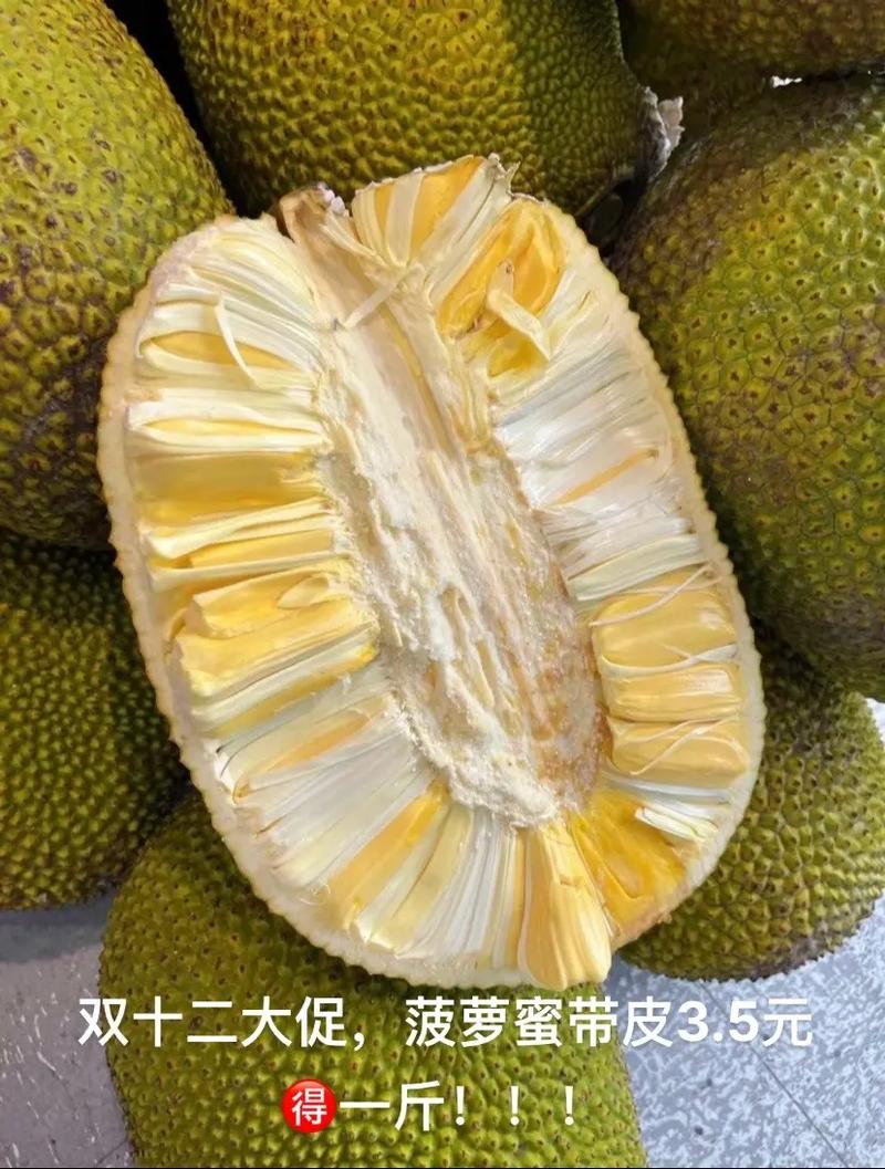 菠萝菠萝蜜视频免费观看播放_菠萝蜜视频html_菠萝蜜视频播放器