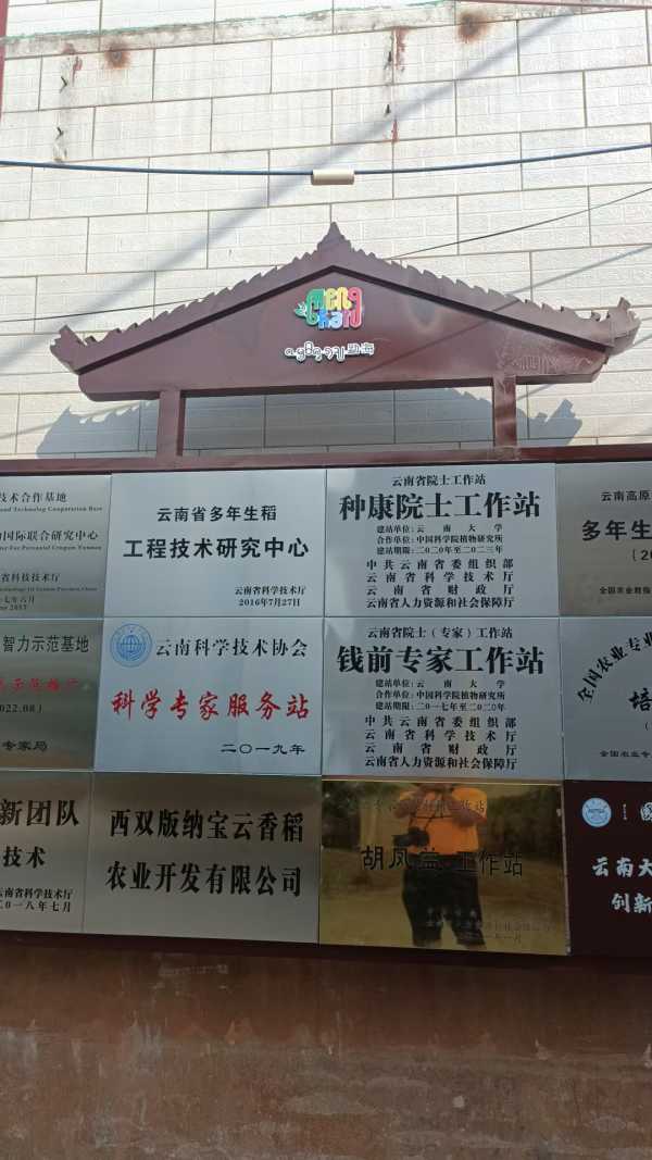 田游.CC田游·CC，探索自然之美与科技之韵-第2张图片