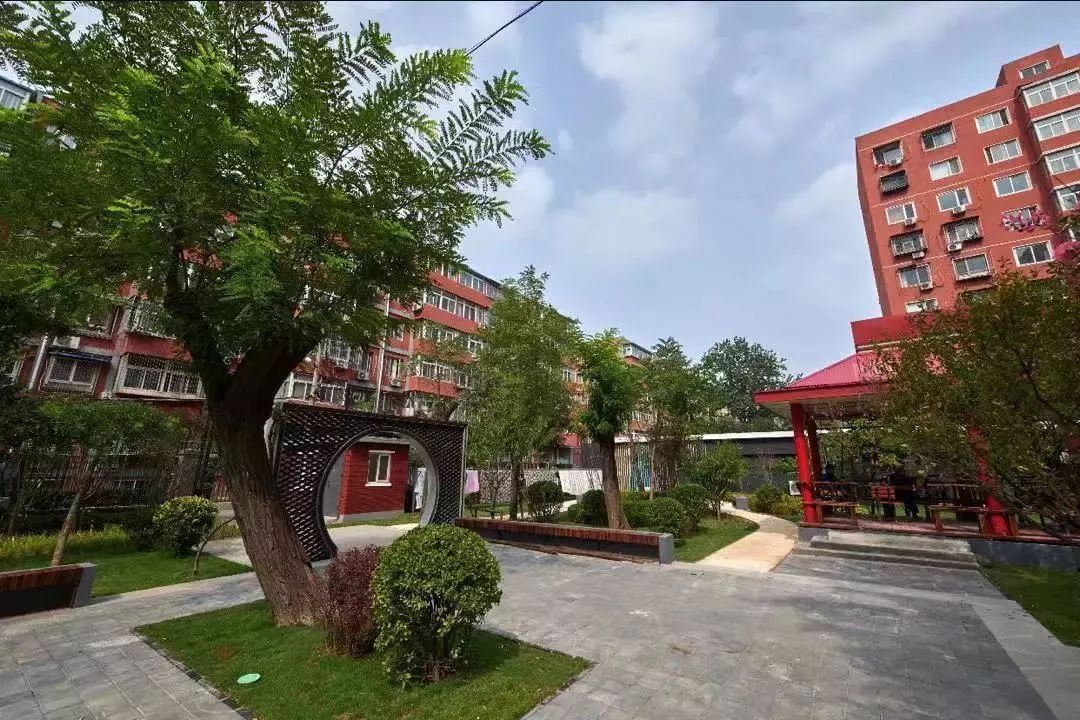 美国十次唐人社区导行美国十次啦唐人社区，多元文化交融的社区典范-第1张图片