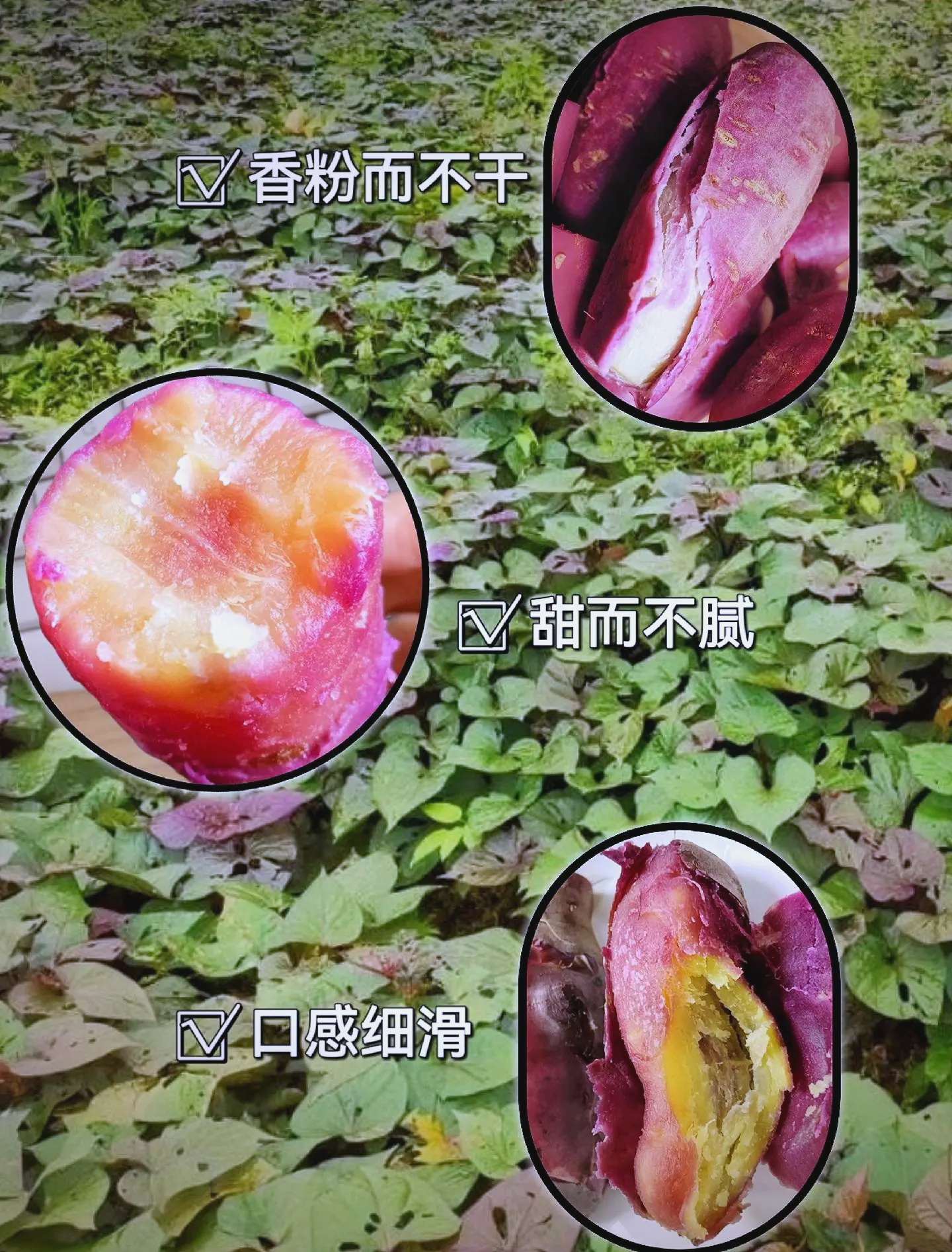 一点红心水论www一点红心水论坛，探索交流与成长的平台-第1张图片