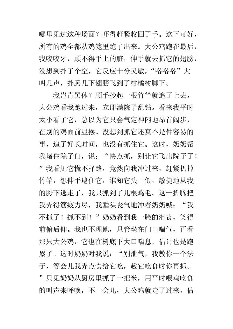 坐在学长鸡上面写作文作业-第1张图片