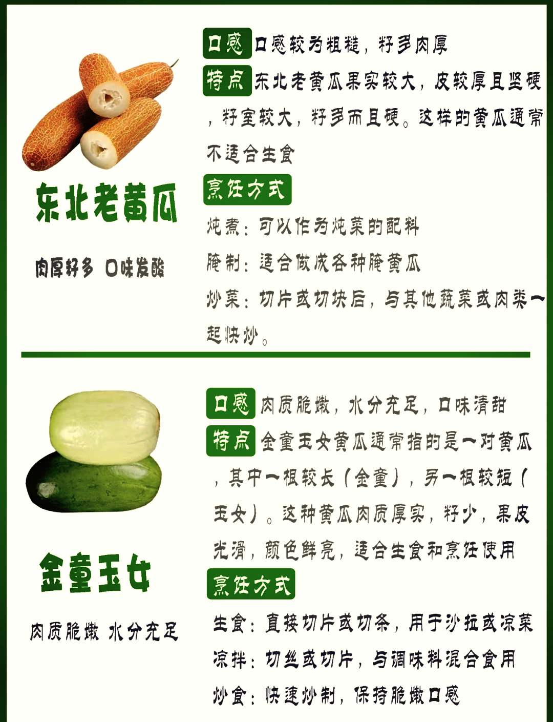 黄瓜动漫图案大全黄瓜动漫库，探索动漫的无限魅力-第1张图片