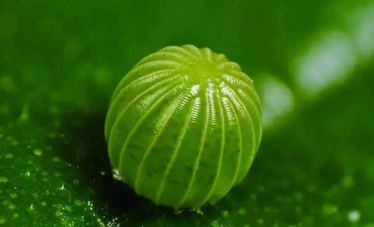 推油经历热带雨林小说推油经历-第3张图片