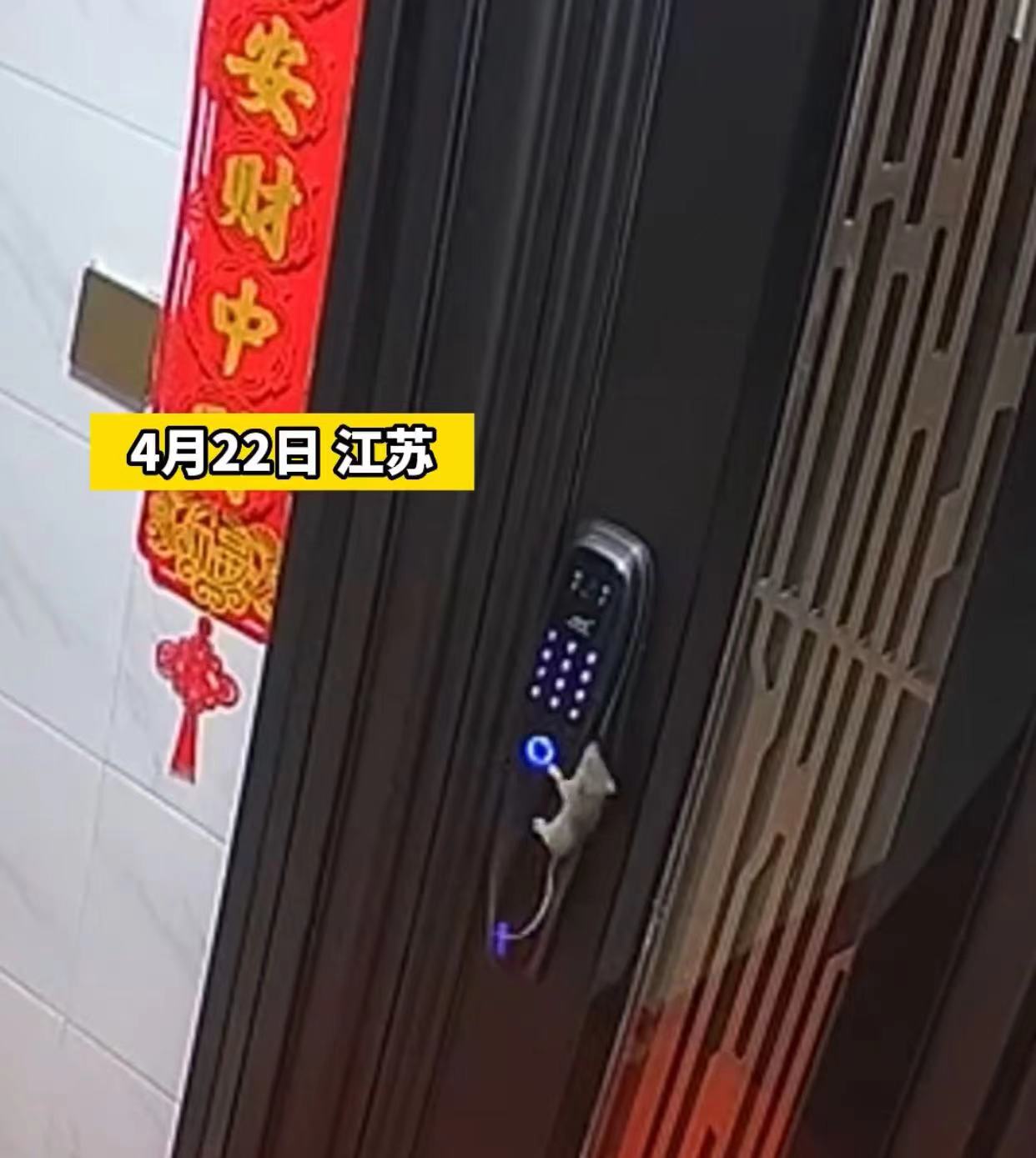 半夜睡觉被自己的男朋友吓到半夜惊魂，被男友吓到的一夜-第2张图片