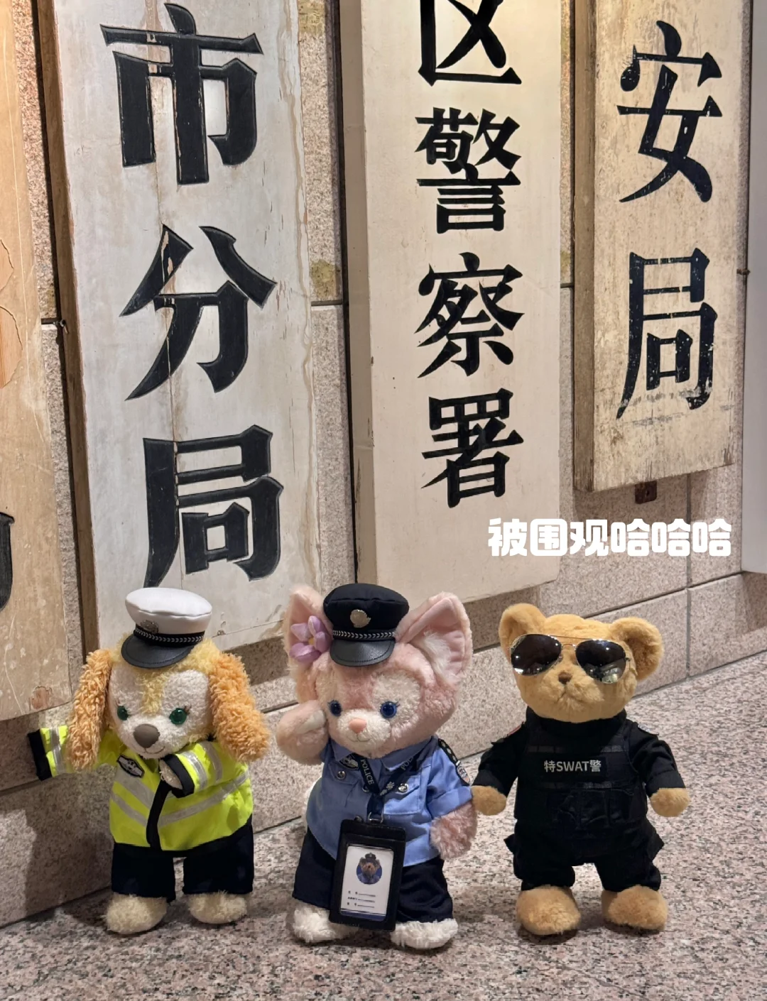 这是警察攻略这是警察攻略，解锁你的职责与权益-第2张图片