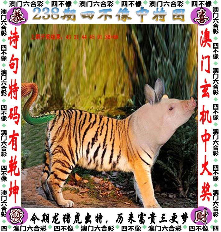 天天彩选4天天彩，彩梦启航-第2张图片
