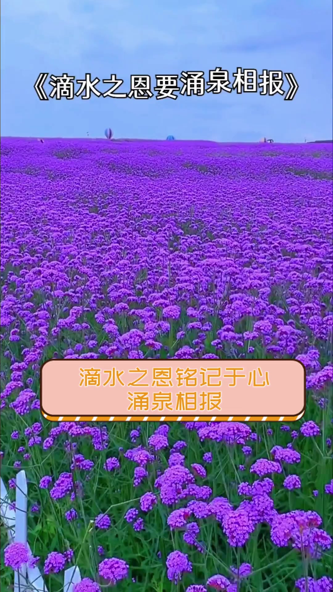 听了让人下面滴水的声音是什么听了令人心旷神怡的声音——滴水之声-第2张图片