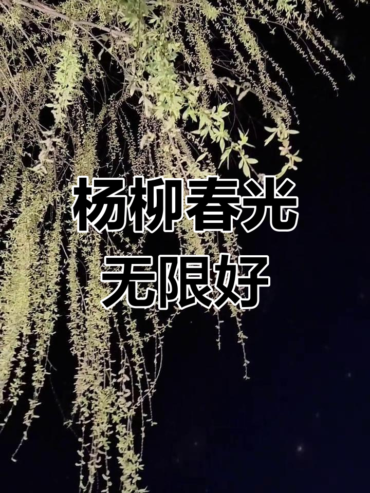 白玉河边双插柳枝发清河万万家小说白玉河边双插柳枝发清河万万家-第3张图片