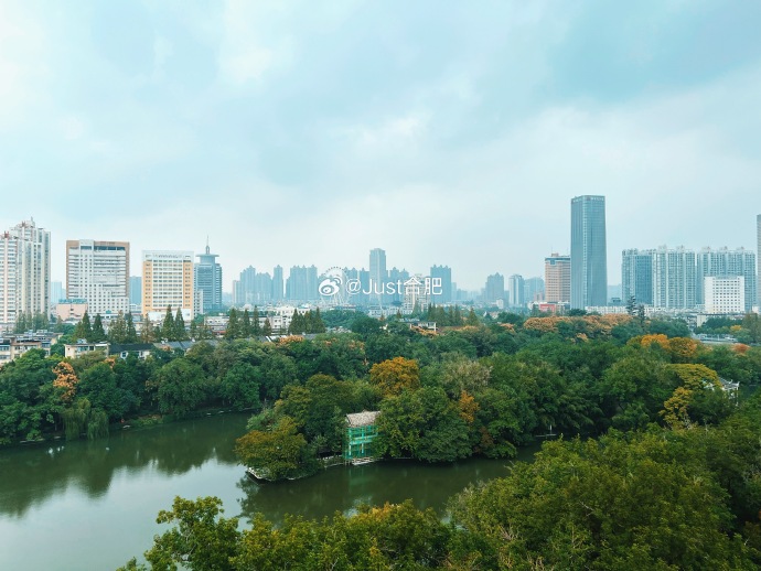 合肥楼凤，城市新篇章