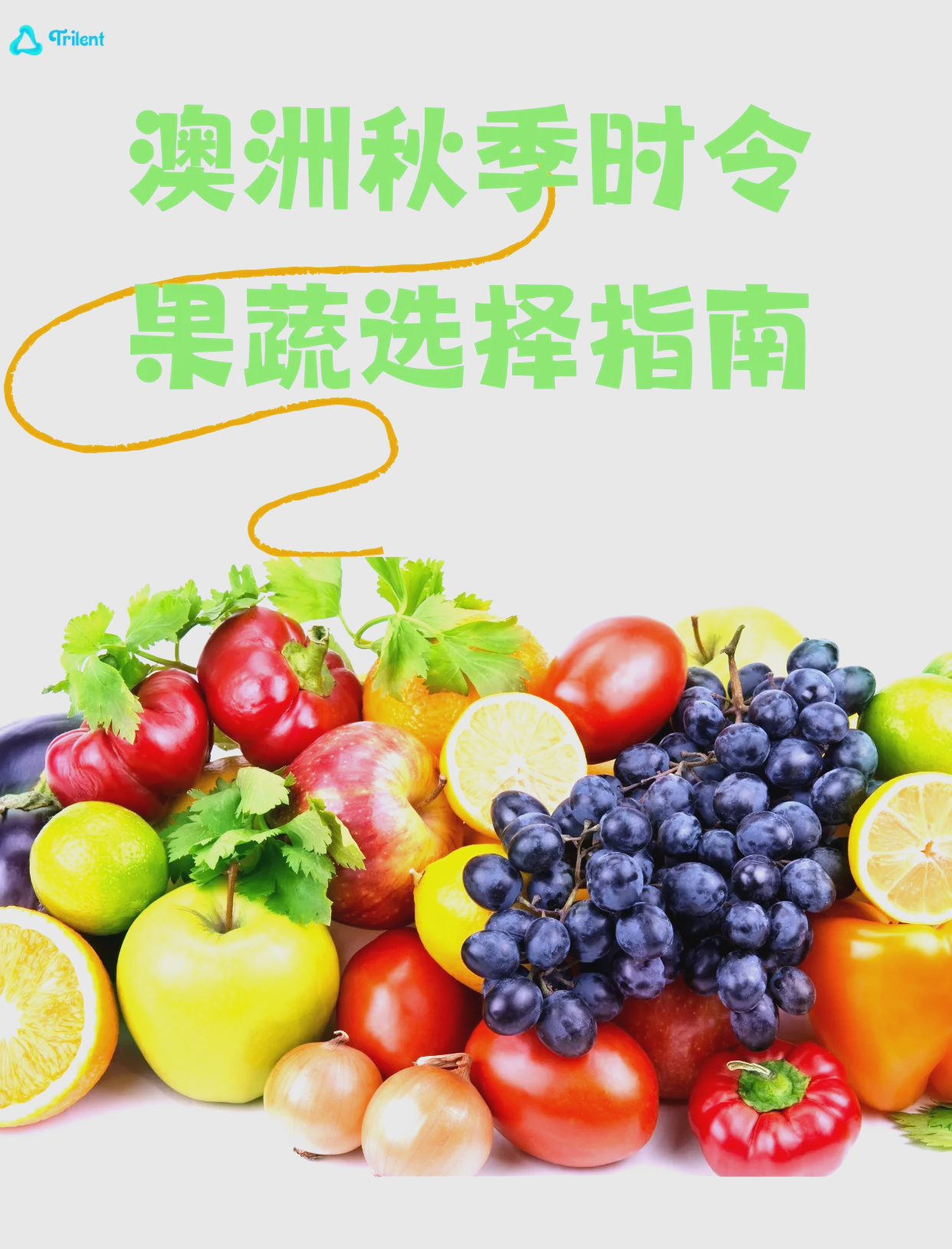 蔬果类食物轻易蔬果，轻松享受新鲜果蔬