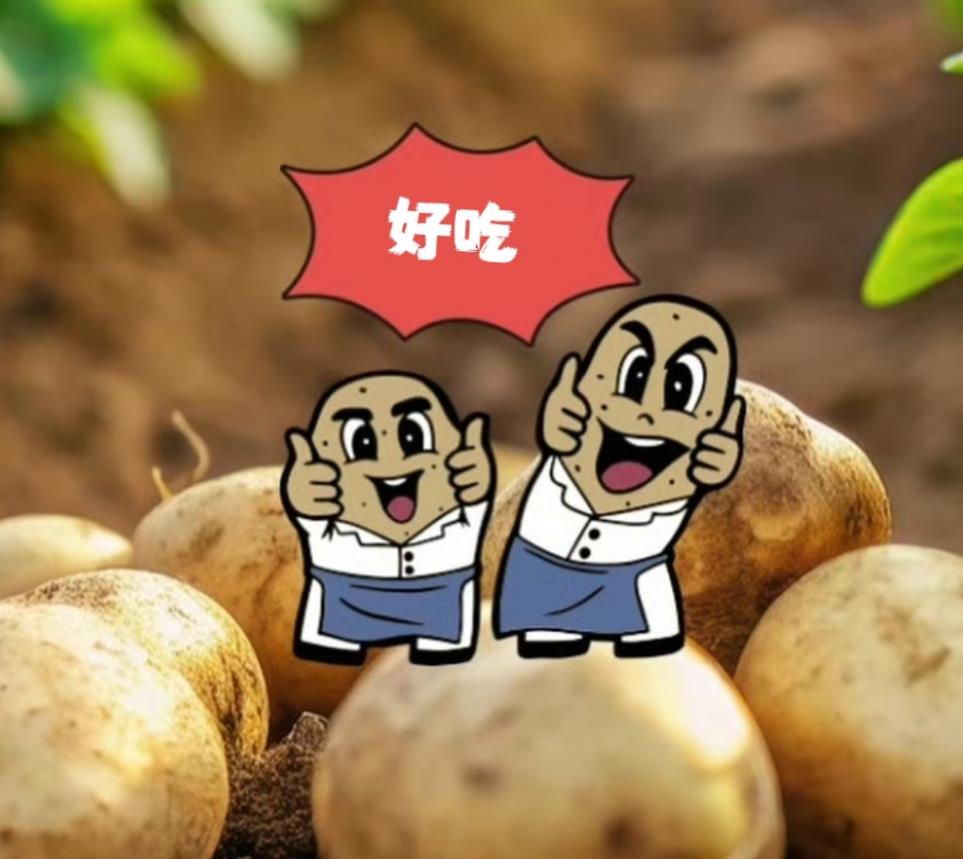 豆浆撞奶羊马它PO豆浆撞奶羊马它，独特的味道与故事-第2张图片