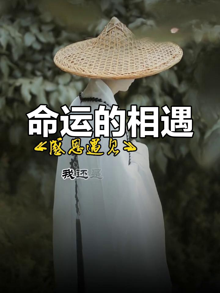 命运轮回之夜