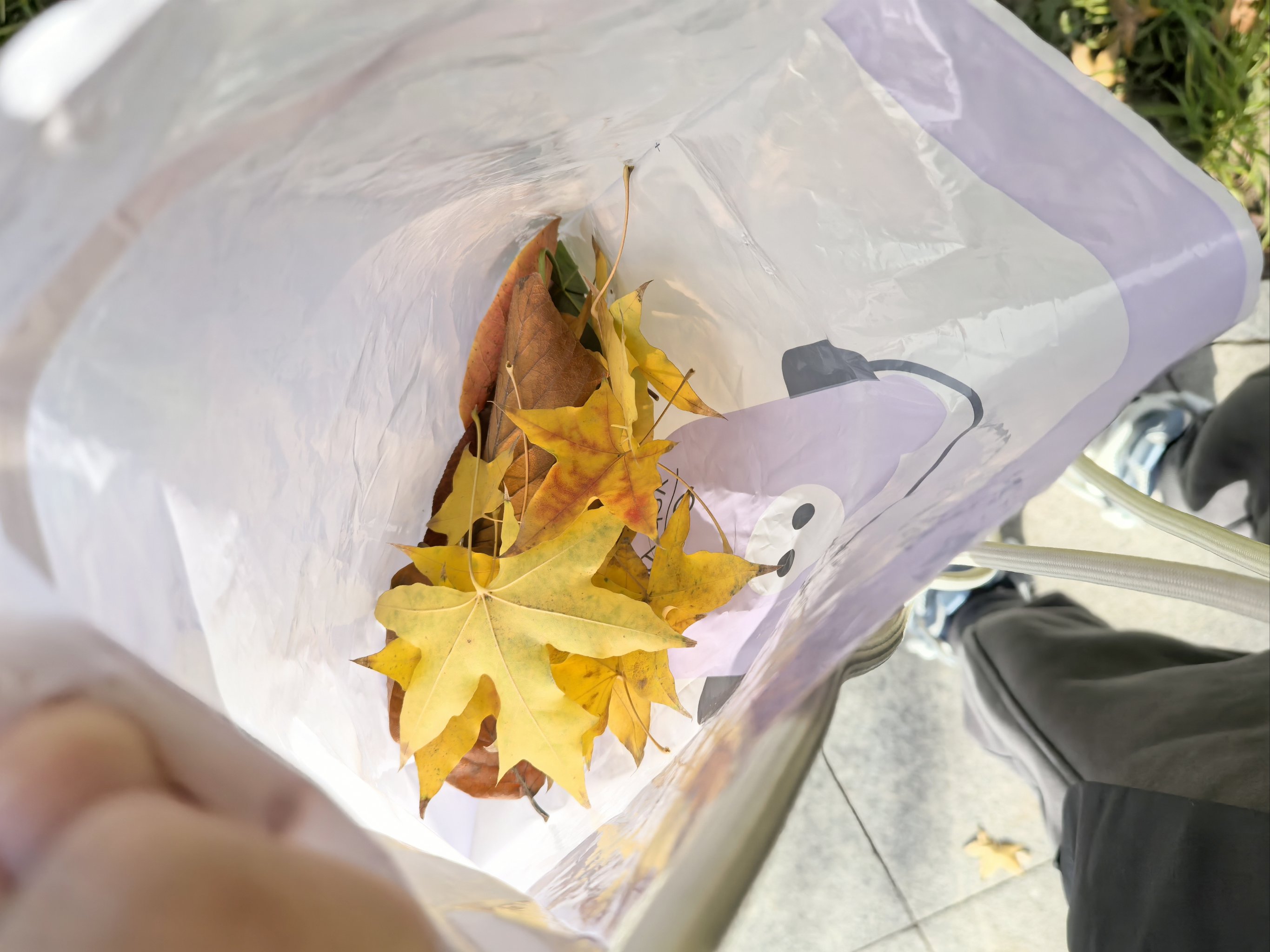 四叶草欧洲和国产区别成人四叶草在欧洲与国产之间的区别-第3张图片