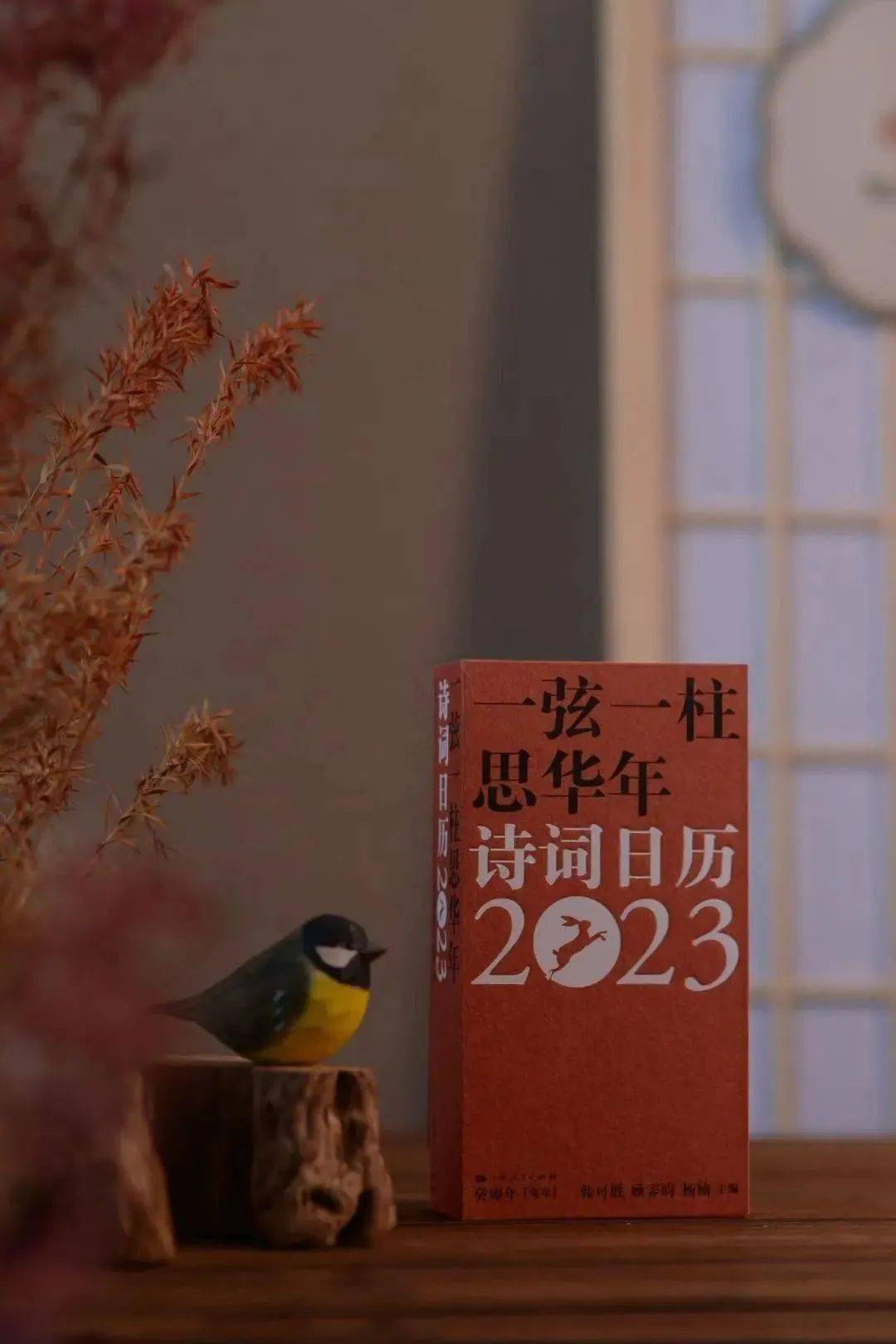 365每一天论坛365每一天论坛，探索无限可能-第2张图片