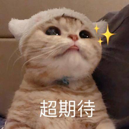 成人在线，探索与挑战-第2张图片