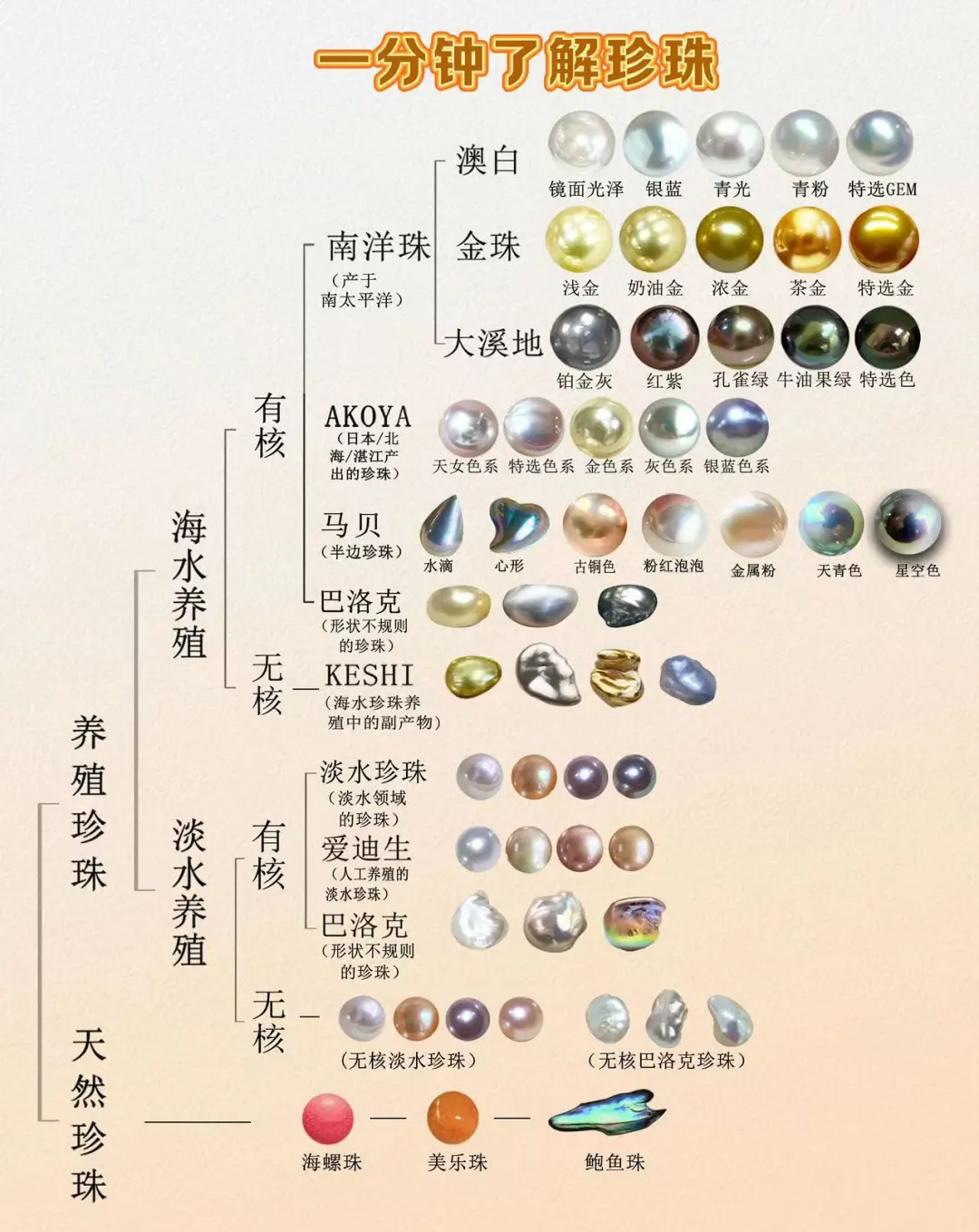 宠物小精灵珍珠攻略大全宠物小精灵珍珠攻略