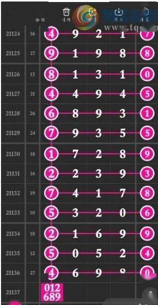 澳门一肖一码一一特中，探索数字彩票与特区文化-第2张图片