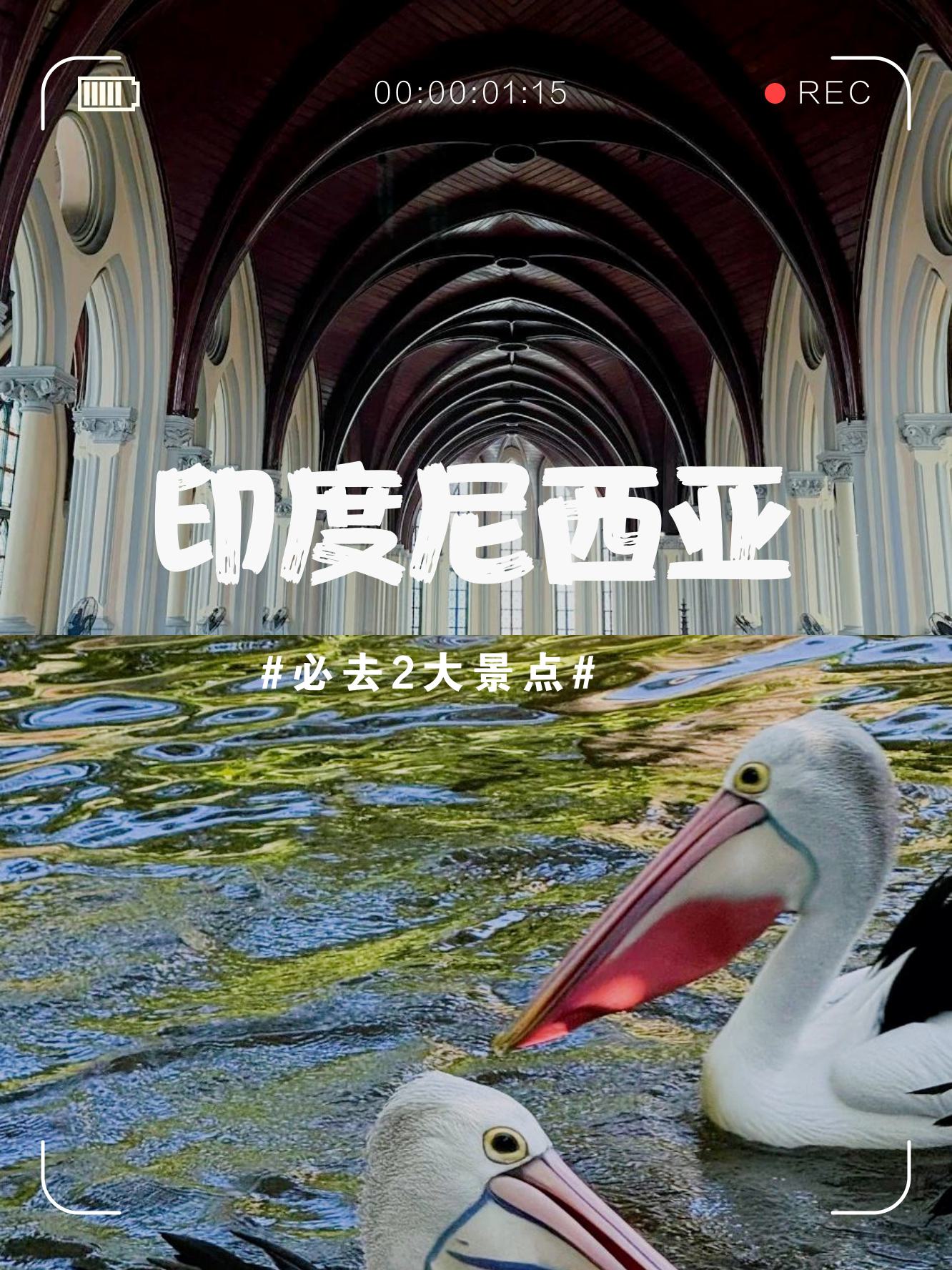 印度性HD18，探索神秘魅力与多元文化