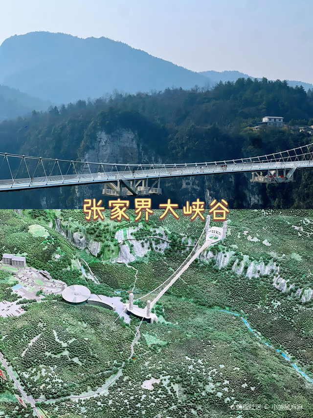 上海至张家界旅游攻略-第3张图片