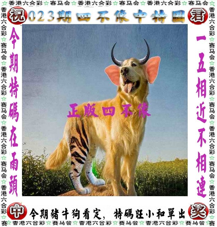 新澳正版资料免费大全新澳正版资料免费大全-第3张图片