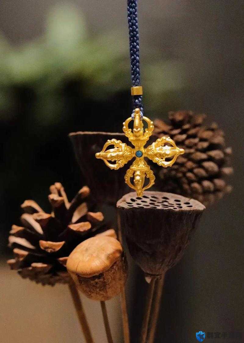 金刚杵直接入莲花金刚杵直入莲花宫小故事