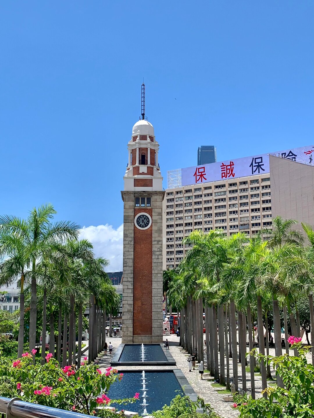 高效天堂在线最新版介绍