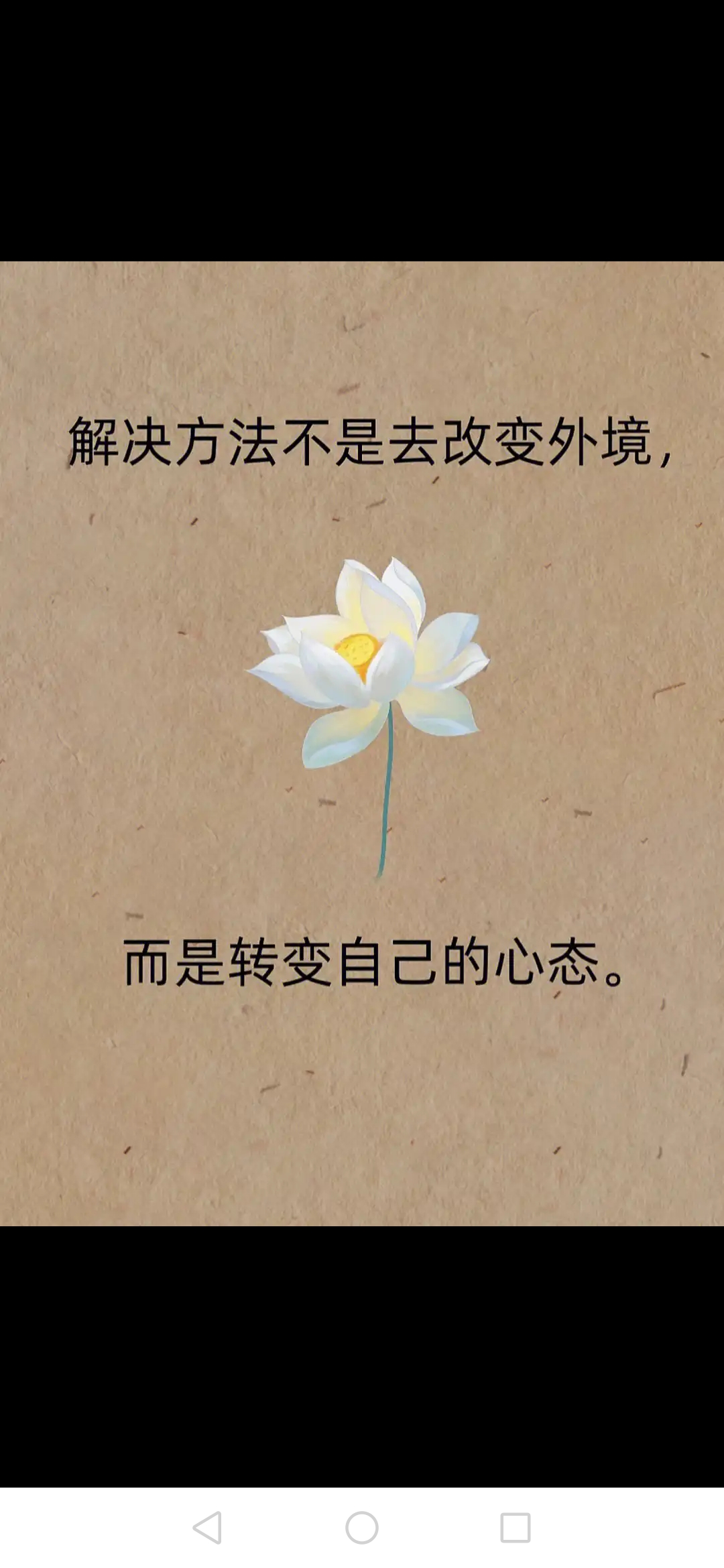 千差万别，世界的多样性与独特性-第2张图片