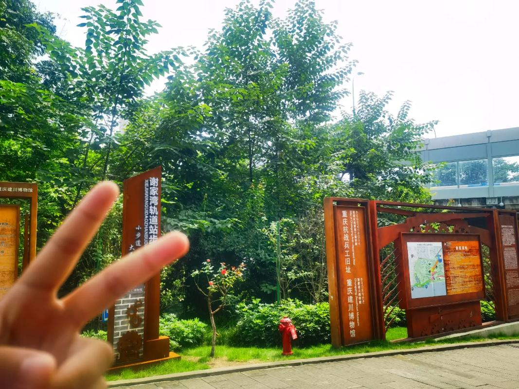 战争元素，历史长河中的烽火硝烟