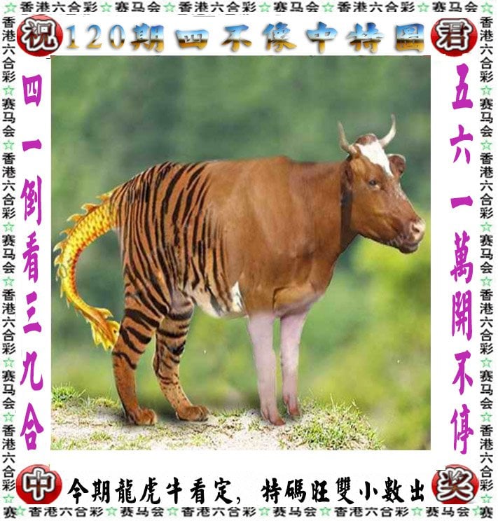 944cc精选料944CC精选料944CC精选料介绍