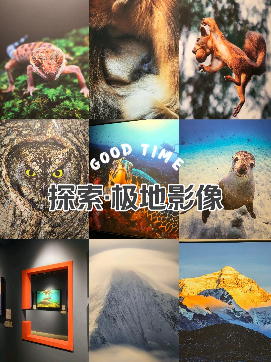 一二三四日本高清无吗，探索日本高清影像的魅力