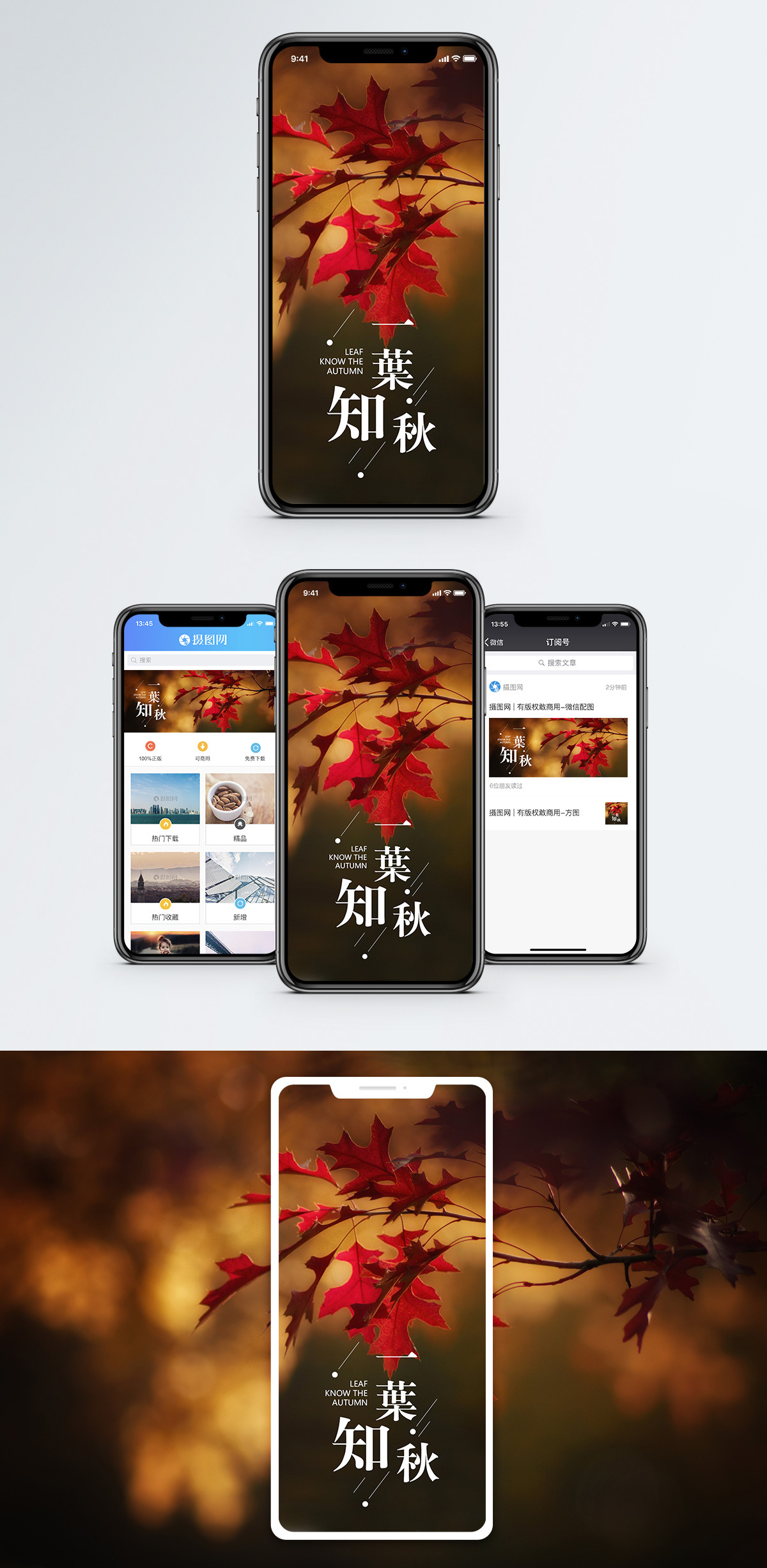 一叶知秋吉他谱一叶知秋吉他谱