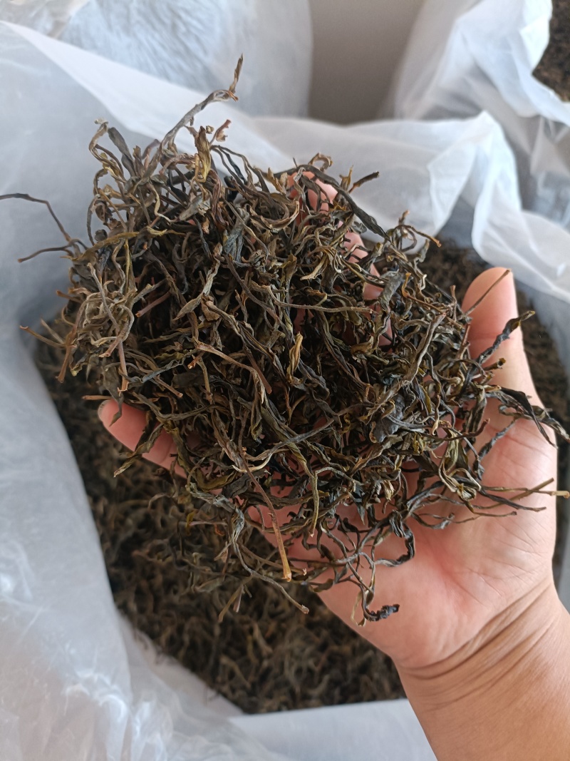 云南茶叶普洱茶有什功效云南茶叶——普洱茶