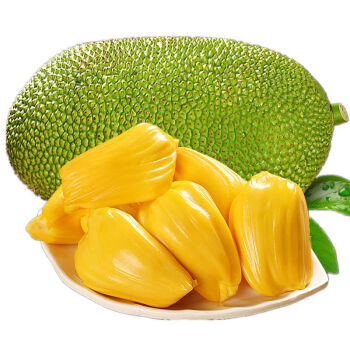 菠萝蜜一二线产区在线菠萝蜜一二线产区概述