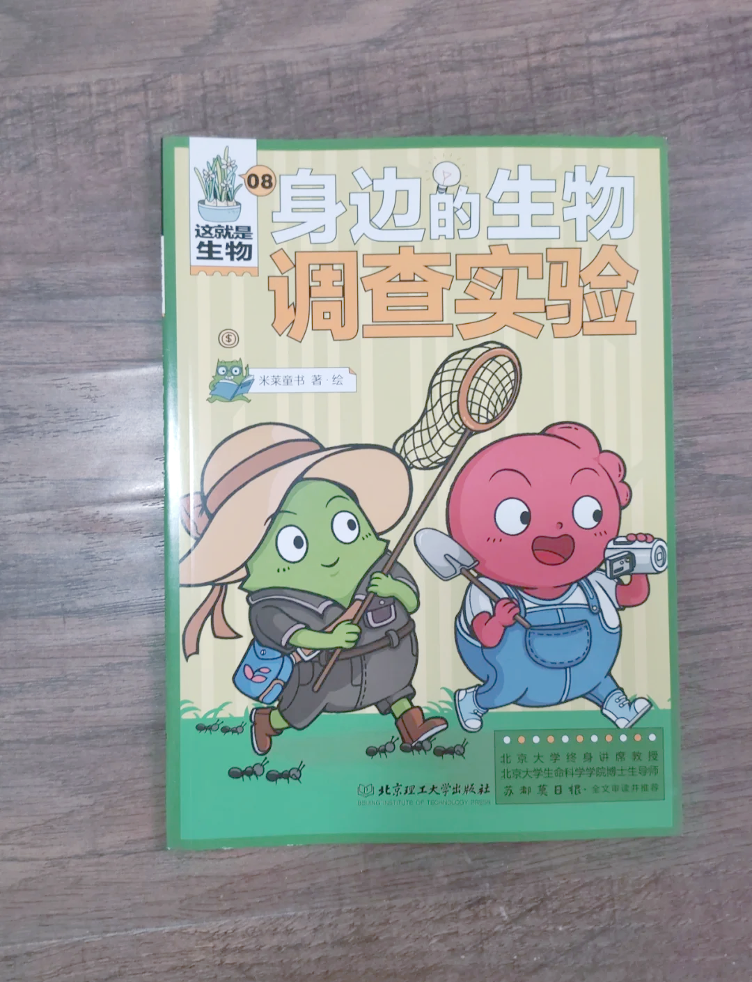 灵魂沙，探寻生命之沙的奥秘-第2张图片