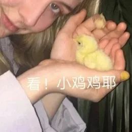 老司机精品在线，老司机带你畅游网络世界-第2张图片