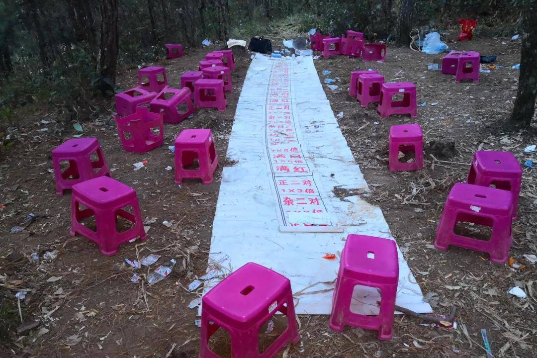百家乐论坛百家乐论坛，探索网络赌博的秘密世界