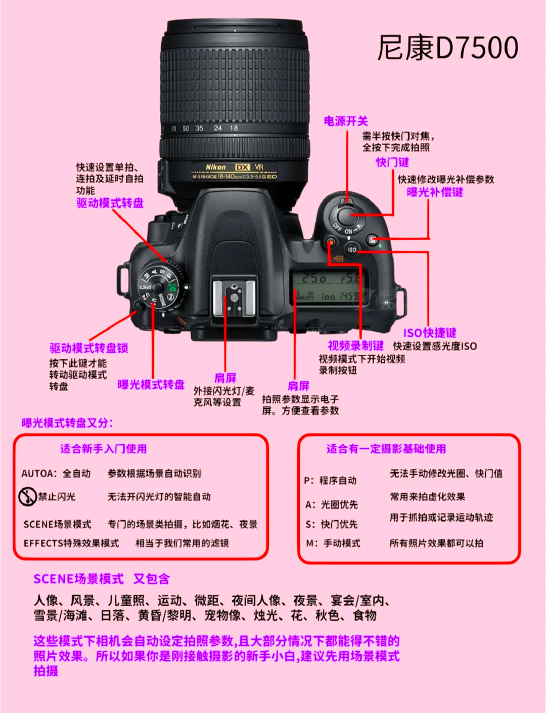 尼康d7000报价尼康D7000报价概述-第2张图片
