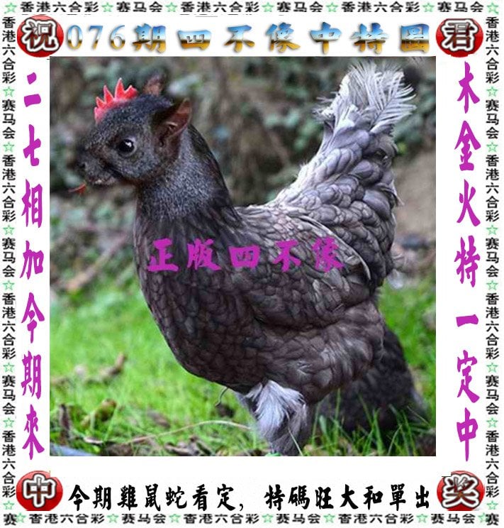 黄大仙造黄大仙一肖一码朝阳测量几个公里黄大仙与神秘一肖一码-第2张图片