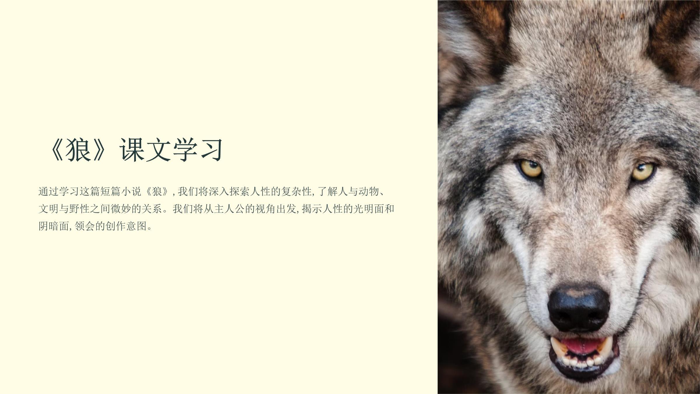 人与动物ppt成品免费女人与禽交，揭示背后的神秘与禁忌-第3张图片