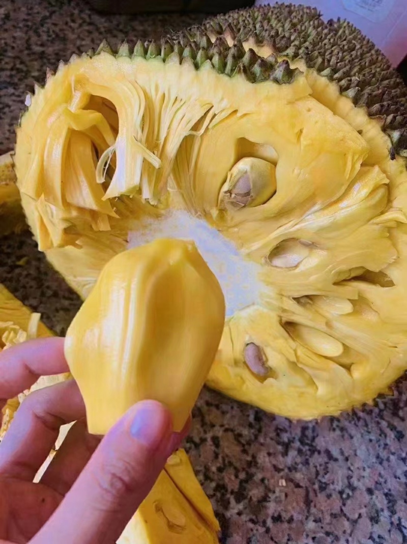 菠萝蜜不正经视频菠萝蜜不正经视频泛滥成灾