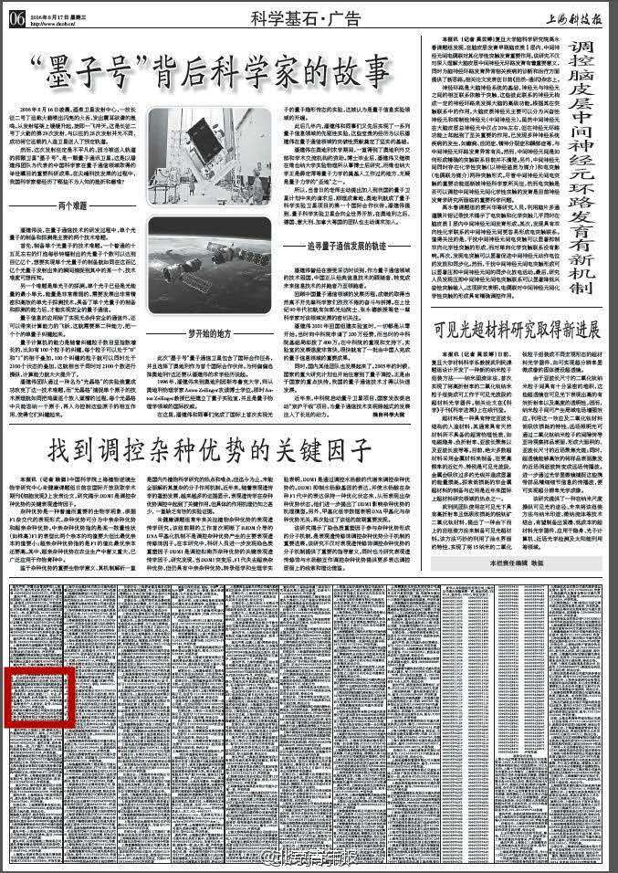 北京青年下载，探索数字时代的文化新潮