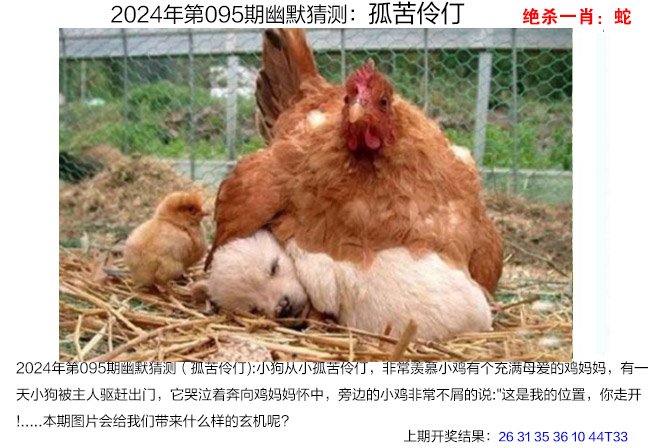澳门管家婆资料正版大全-第2张图片
