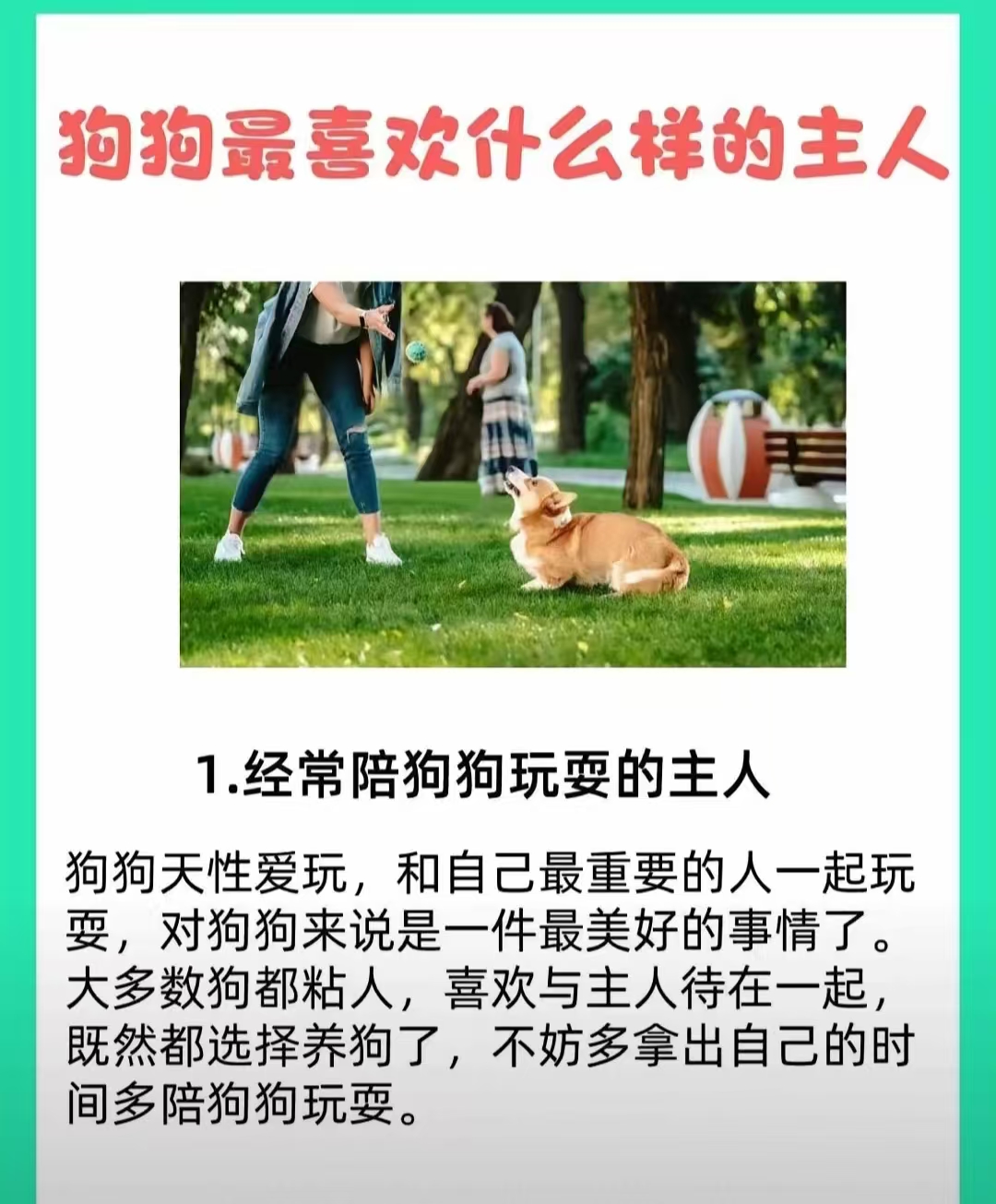 老公不在找狗狗帮忙寻找狗狗帮忙，老公不在的温馨之选-第1张图片
