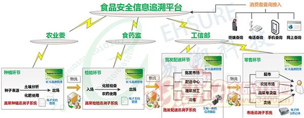 日本免费一区二三四区，探索日本网络资源的丰富性-第2张图片