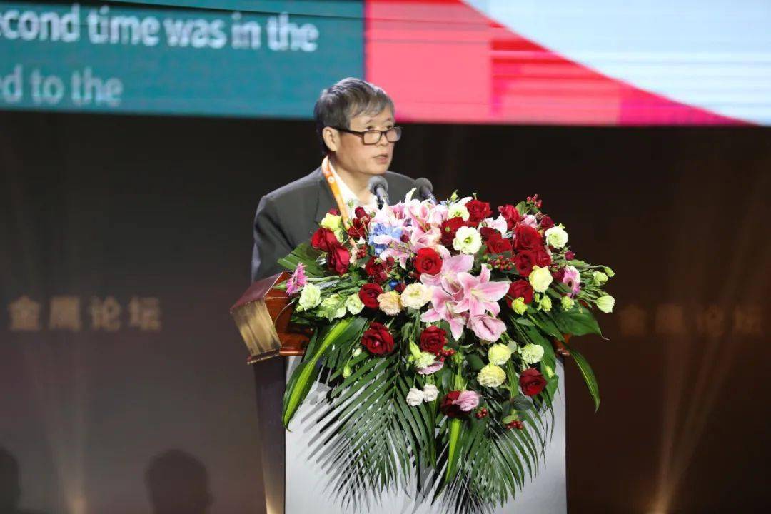 金鹰论坛，探索网络交流的新天地-第2张图片