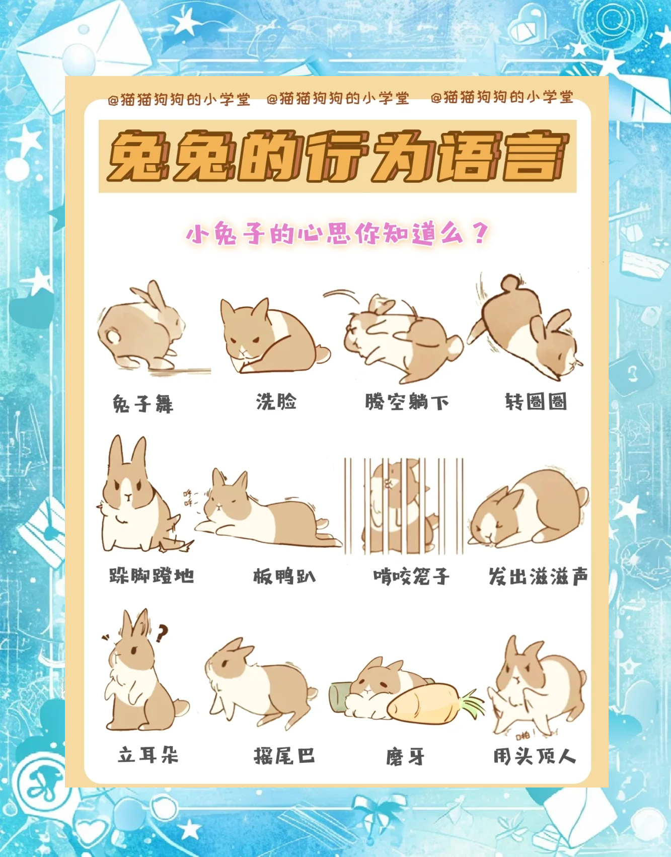 胸前两只白白的小兔子跳出来-第2张图片