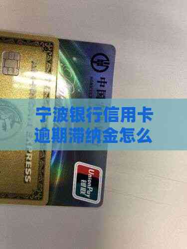 信用卡取消滞纳金，轻松解决烦恼-第2张图片