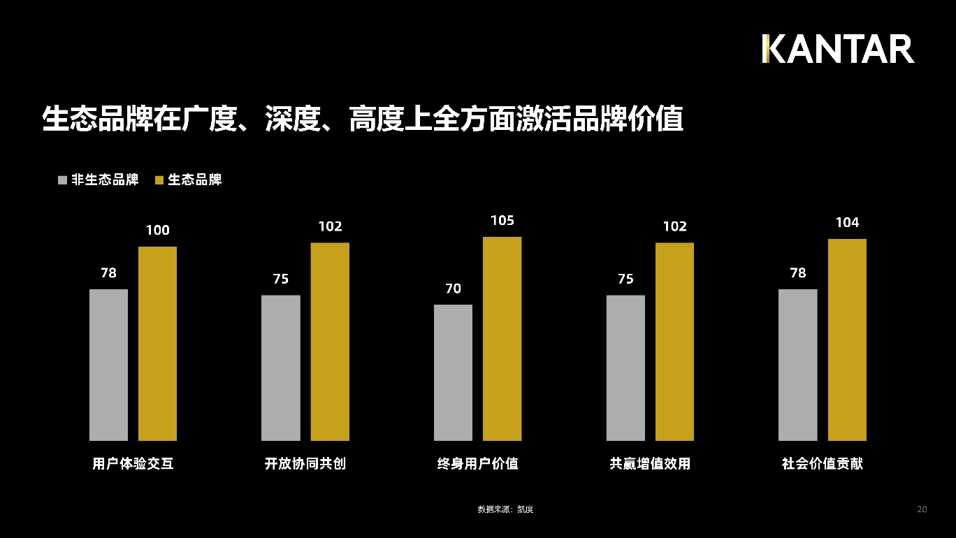 九点网九点网，探索网络世界的深度与广度-第2张图片