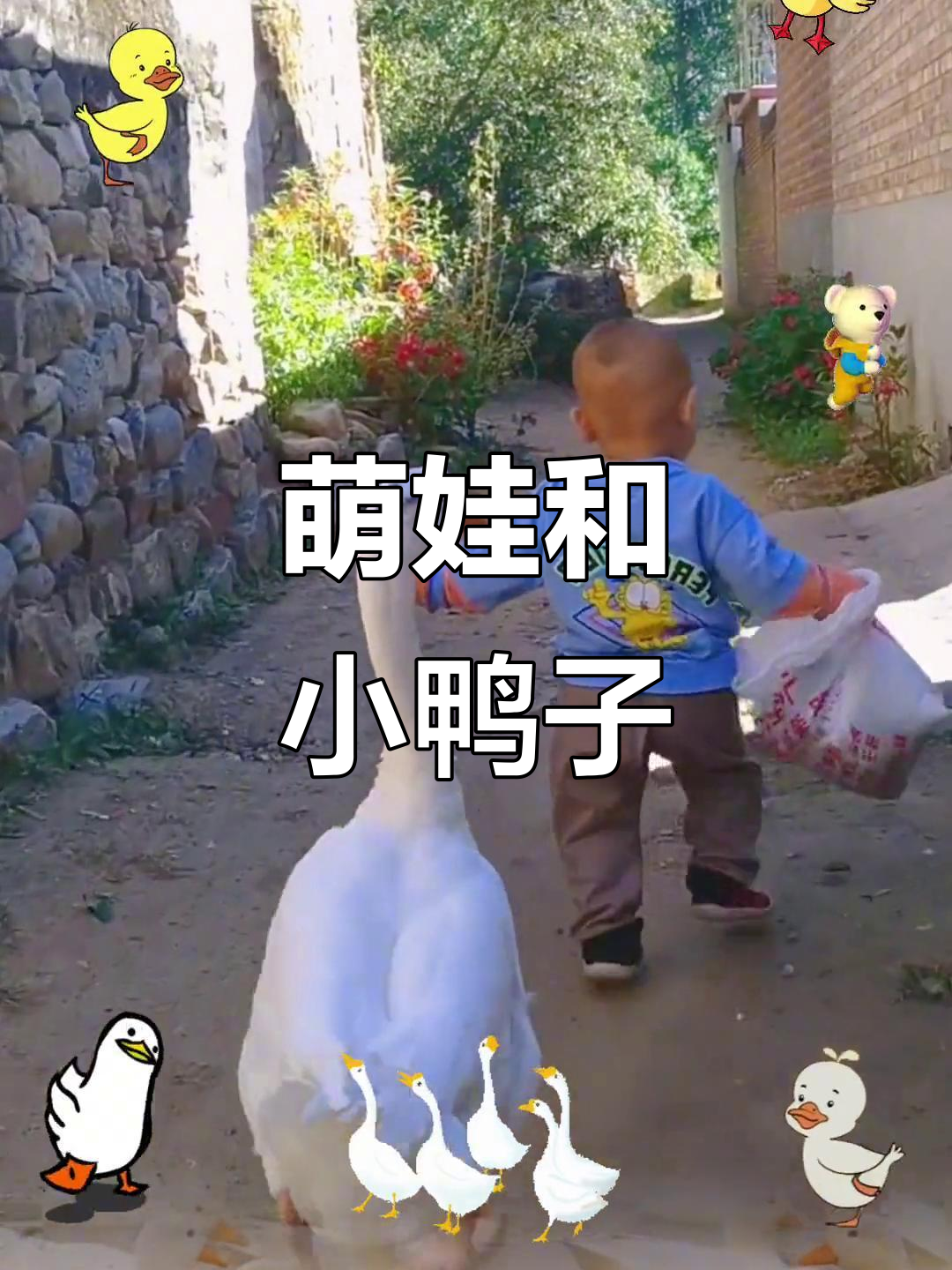 小鸭子在线视频免费观看中文，探索视频世界的乐趣
