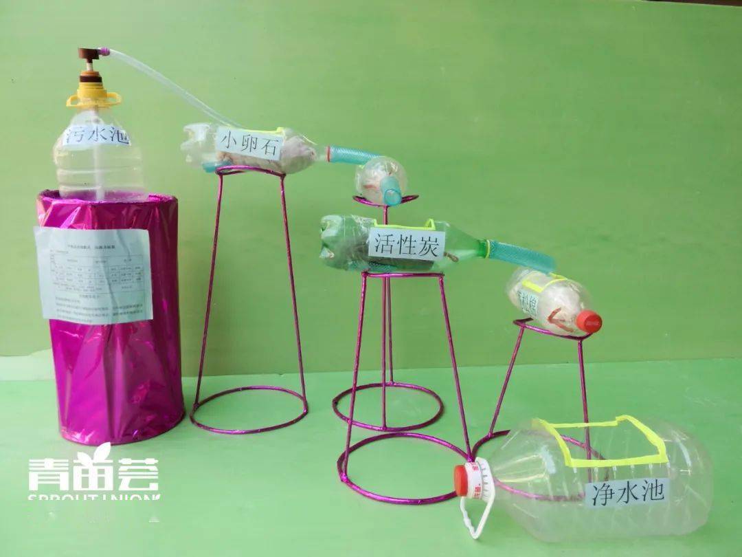 我成为了生物课性实验的教具-第1张图片